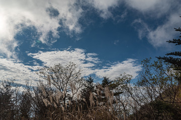 山の天気