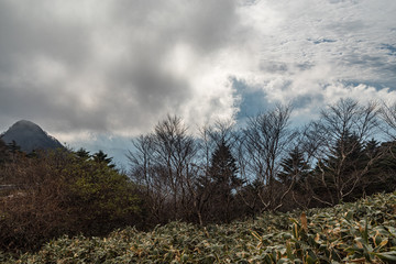 山の天気