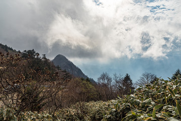 山の天気