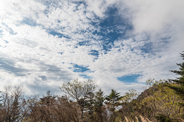 山の雲