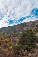 愛媛の紅葉　のんびり旅