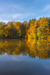 Autumn morning at lake Thal near Graz, Styria region, Austria