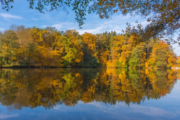 Autumn morning at lake Thal near Graz, Styria region, Austria