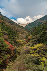 愛媛の紅葉