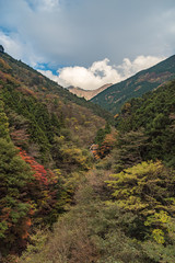 愛媛の紅葉