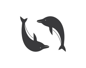 Dolphin logo icon vector