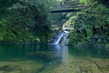 赤目四十八滝　初夏の霊蛇滝の情景＠三重県