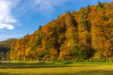 Naklejka premium Hill with colorful trees in autumn 