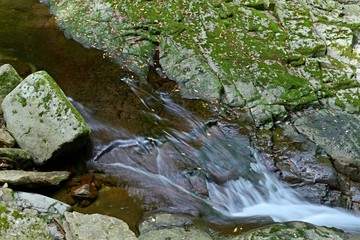 赤目四十八滝　初夏の渓流の情景＠三重県
