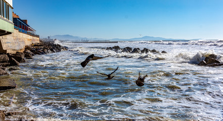 Wave storm on the breakwater