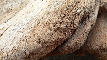  log detail