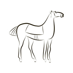Black and white vector outline of a standing horse