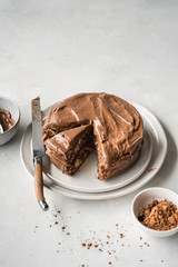 Cake with Chocolate Frosting
