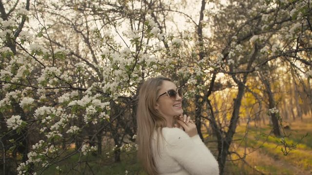 Attractive young woman in sweater, jeans is dance and spinning among blossom apple tree. Sunset, spring orchard and green field. Slow motion. Caucasian one girl, long fluttering hair. Sun glasses.