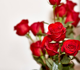 Close up of Red Roses arranged in a vase