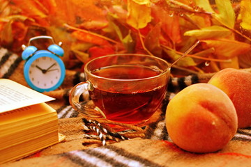 Glass Cup of tea with spoon in center of the composition of an open thick book, fruit, alarm clock on plaid scarf behind the glass window with autumn leaves. Selective focus
