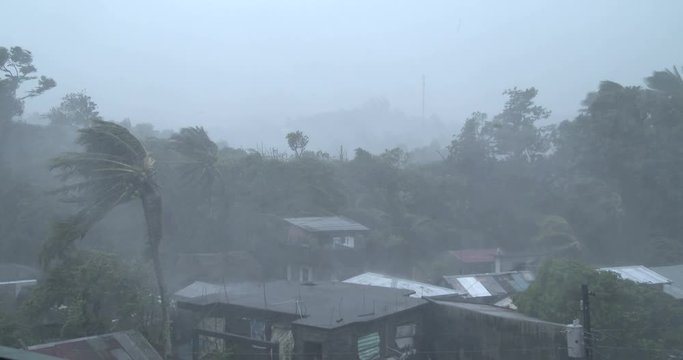 Major Hurricane Hits Tropical City - Ram