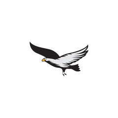 eagle vector illustration logo template