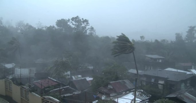 Intense Hurricane Wind Rain Rips Through Town - Ram