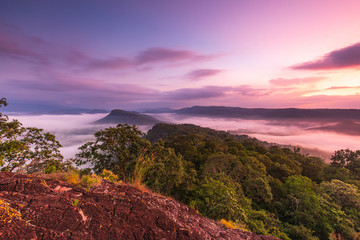 Fototapeta na wymiar Phu Pha Nong, Landscape sea of mist in border of Thailand and Laos, Loei province Thailand.