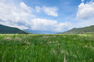 Fototapeta na wymiar Grass with mountains and blue sky white clouds at Yunnan China