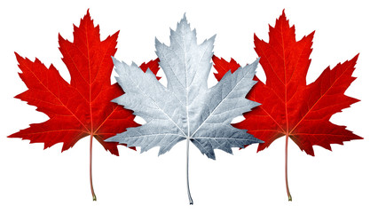 Canada Maple Leaf