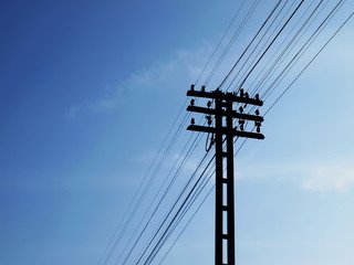 Silhouette of telegraph pole and wires. Installed beside the railroad on a beautiful sky...