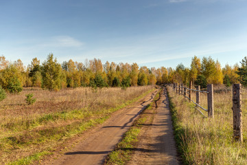 Fototapeta na wymiar rural autumn landscape