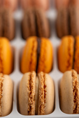 French macaroons, varied selection, colorful. Vertical photo.