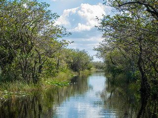 Fototapeta na wymiar View down a water channel through trees in Everglades National Park, Florida.