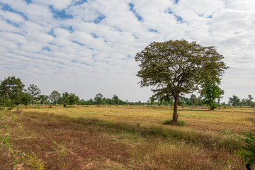Sok Phee Dib, Sok Nok Ten, Phon District, Khon Kaen, Thailand with beautiful blue sky high peak...