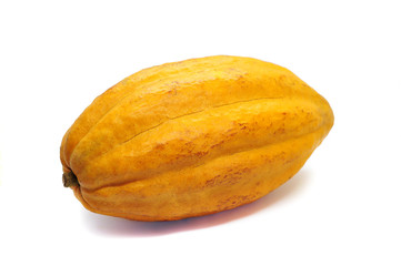yellow cacao fruit on white background