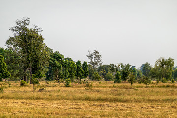 Sok Phee Dib, Sok Nok Ten, Phon District, Khon Kaen, Thailand with beautiful blue sky high peak...