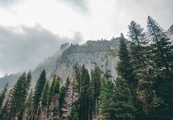 early morning in the mountains