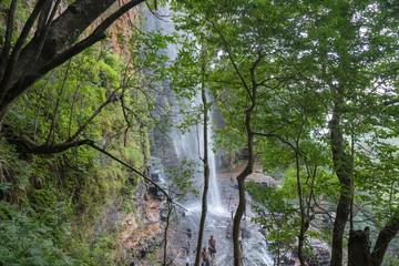 Talakona Water Falls view from trees,Andhra Pradesh