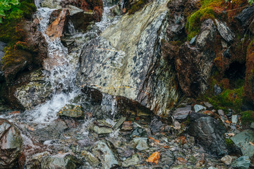Scenic background with clear spring water stream among stones with thick moss. Mountain creek flows on mossy rocks with fresh greenery. Wet boulders close-up. Colorful backdrop with rich alpine flora.