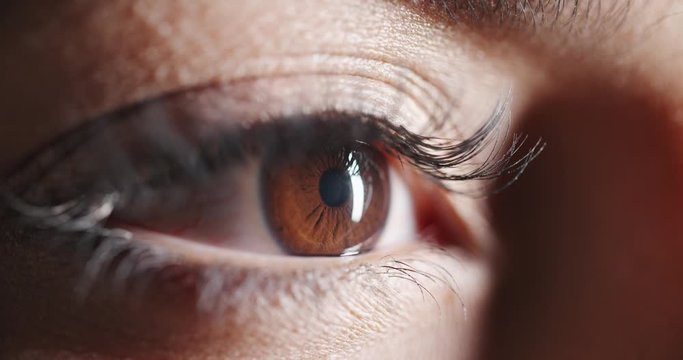 Close up shot of beautiful female eye with makeup and dark brown iris looking around and blinking - beauty concept makro 4k footage