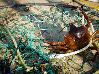 fishing nets and ropes