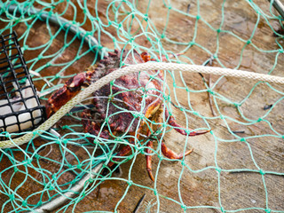 crabbing