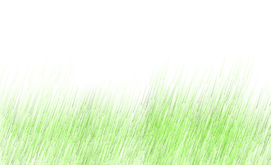 Grass pattern green on white background - abstract grass hand drawn watercolor