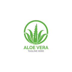 Aloe vera logo vector illustration template