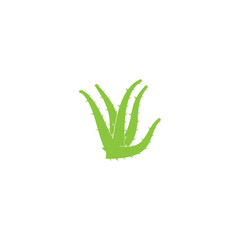 Obraz premium Aloe vera logo vector illustration template