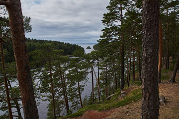 The nature of Karelia.Typical Karelian landscape on the island of Valaam: forest of conifers, Lake Ladoga, crag and volcanic rocks. Russia, Karelia