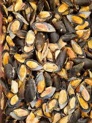 frozen mussels close-up. food texture background. Seafood.