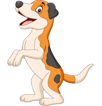 Cartoon funny dog standing on white background