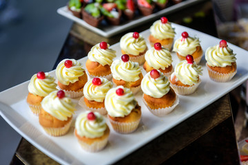 Biscuit muffins with cream on a plate, close-up. Cupcakes at the Banquet, sweet table.