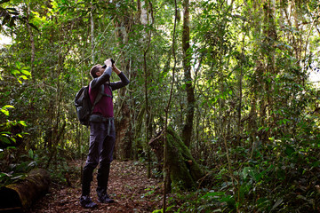 man in rainforest