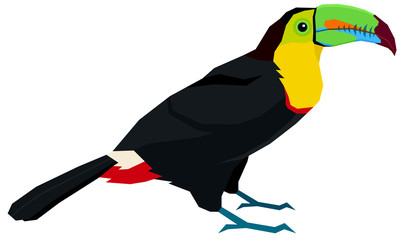 Wild birds Keel-billed Toucan Vector illustration Isolated object