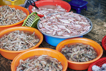 Full basins with various fish and shrimps on the floor at local fish market