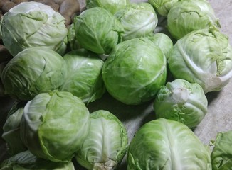 Fototapeta na wymiar Fresh cabbages in a vegetable market